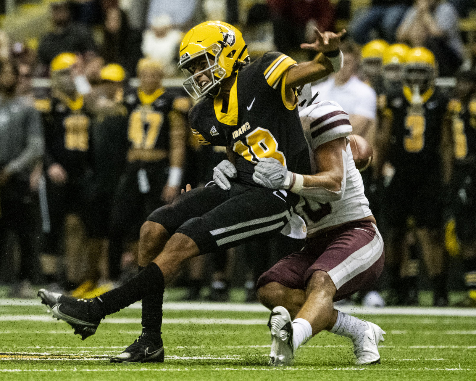 Griz vs. Idaho 12